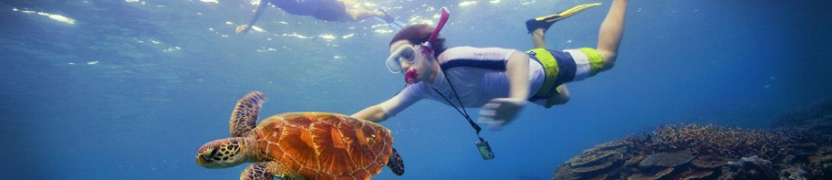 Great Barrier Reef, Queensland